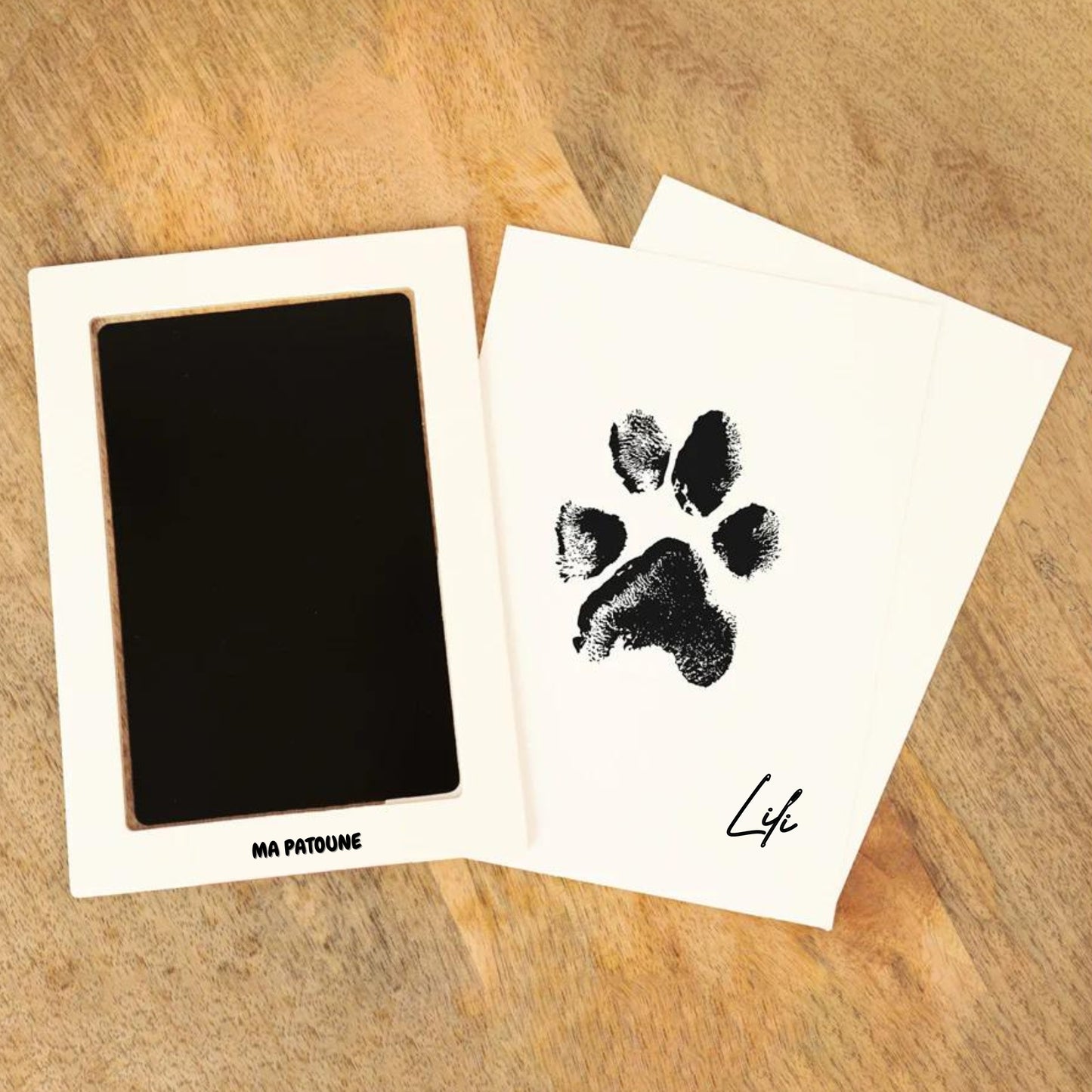 Kit d’empreinte pour animaux