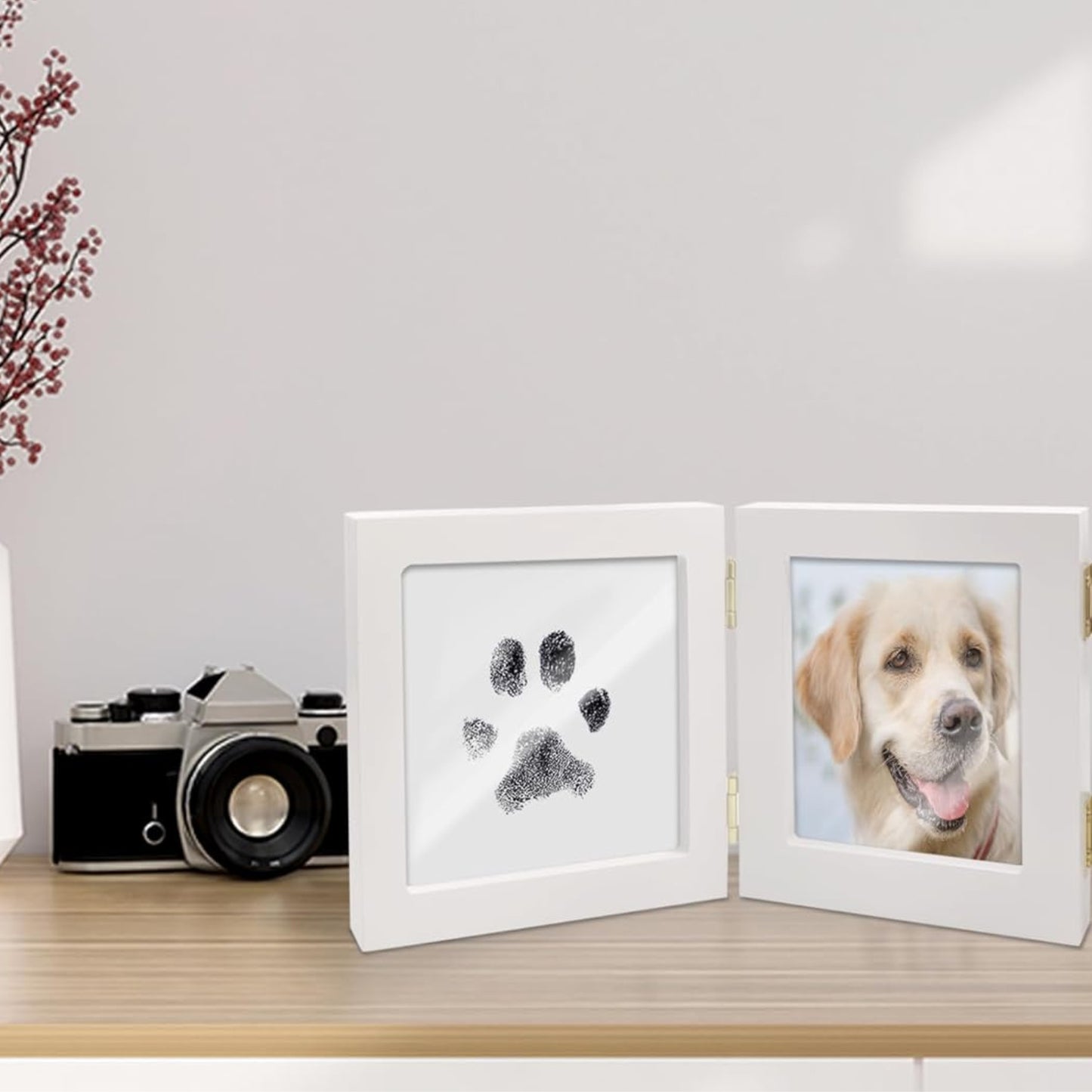 Kit d’empreinte pour animaux