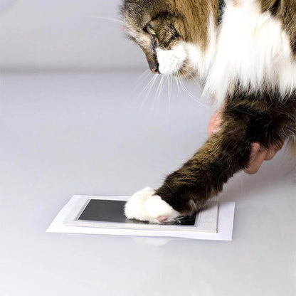 Kit d’empreinte pour animaux 