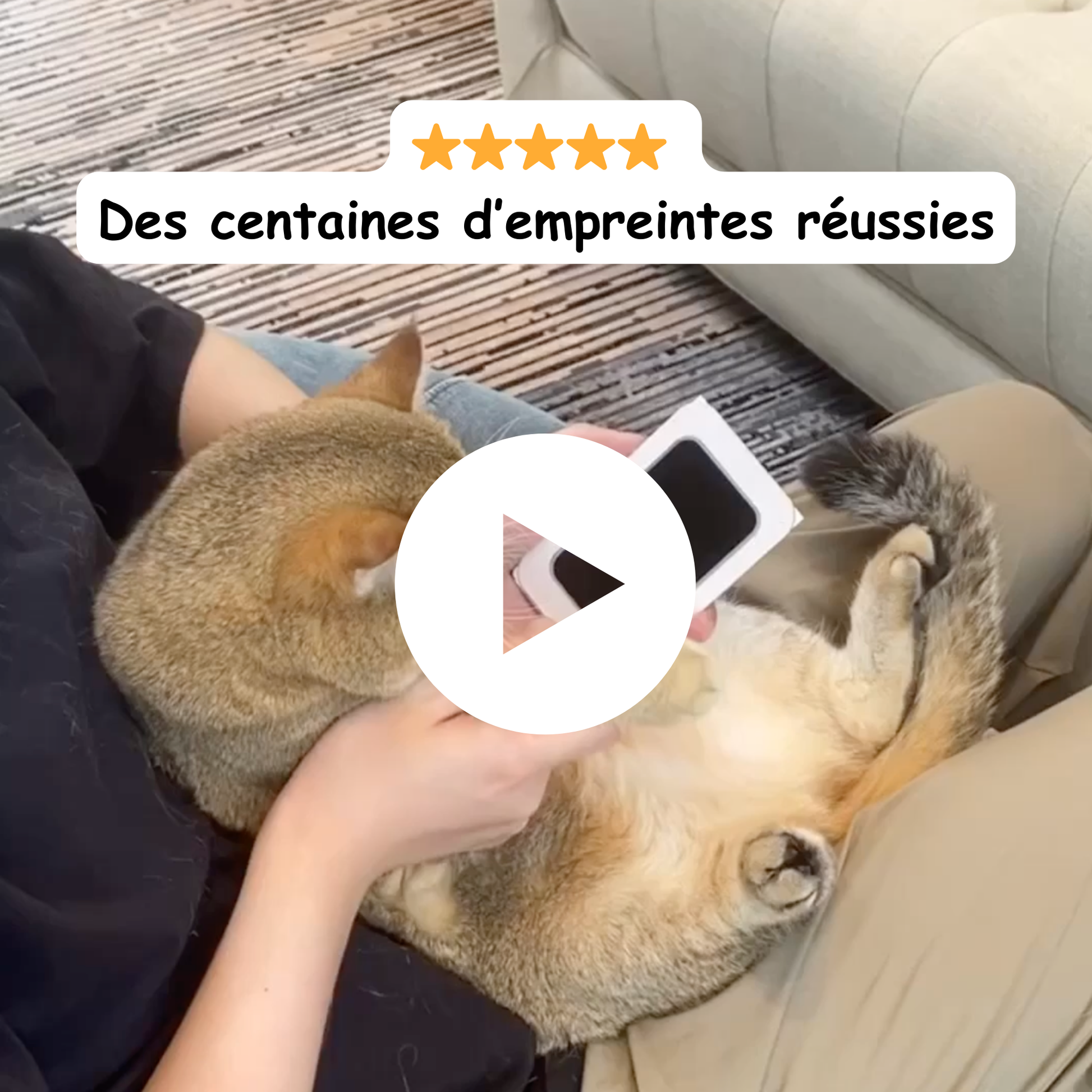 Kit d’empreinte pour animaux 