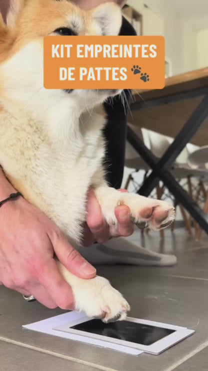 Kit d'empreinte